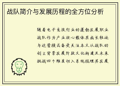 战队简介与发展历程的全方位分析