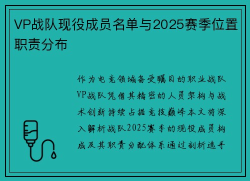 VP战队现役成员名单与2025赛季位置职责分布