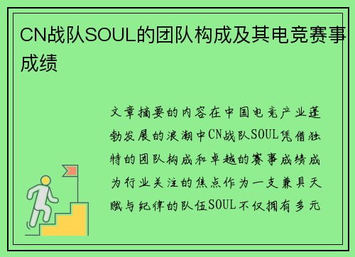 CN战队SOUL的团队构成及其电竞赛事成绩